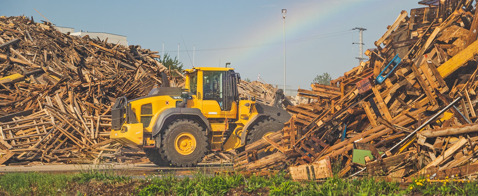 Firma HolzREC arbeitet umweltschonend und nachhaltig